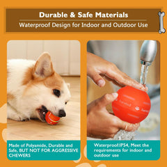 Smart Play Dog Ball - VIP