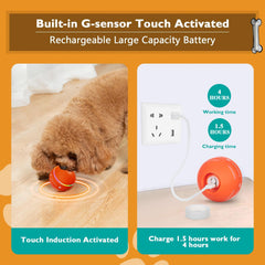 Smart Play Dog Ball - VIP