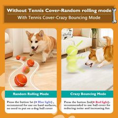 Smart Play Dog Ball - VIP